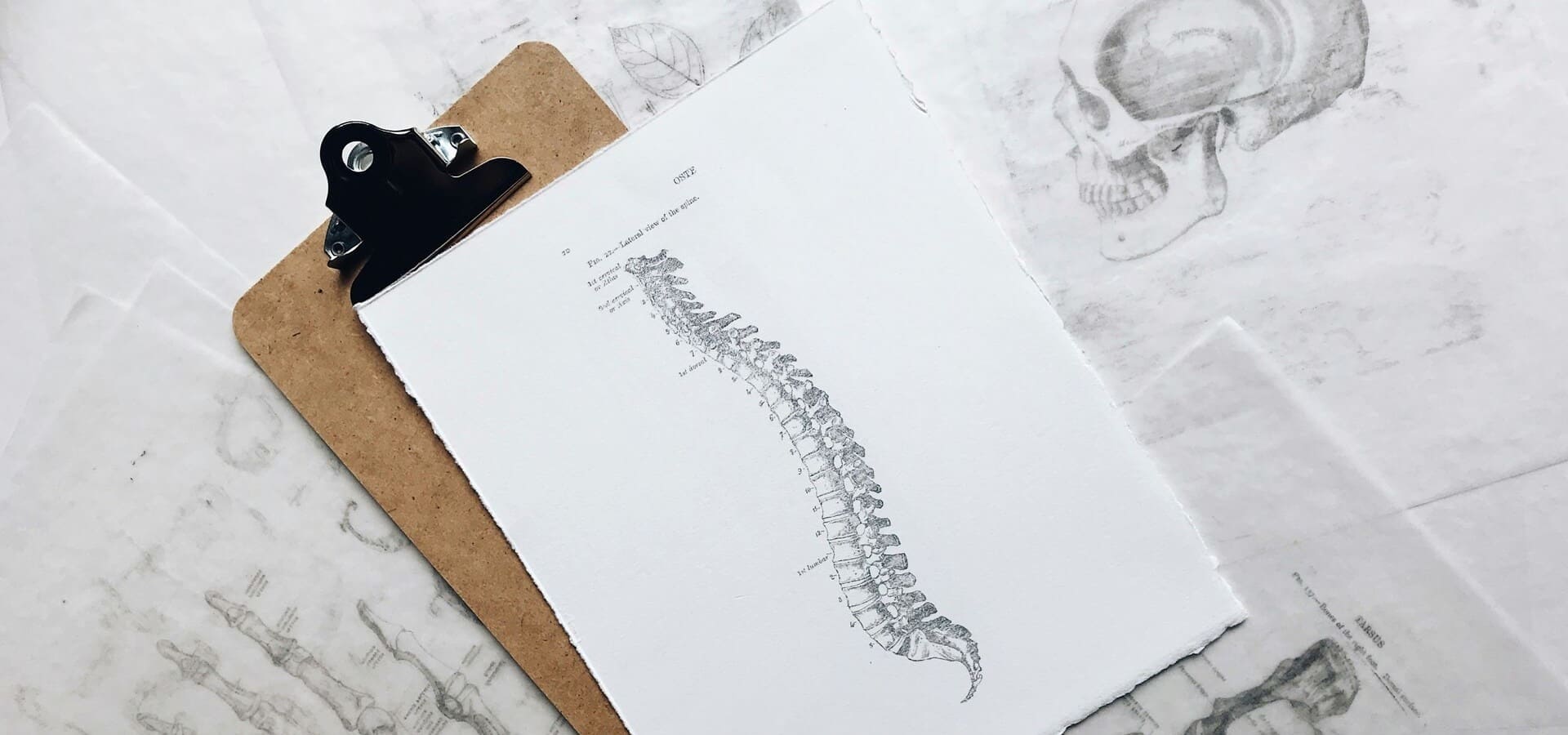 Chiropractic Care for Recurring Back Pain: What to Know